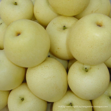 Ya Pear 2014 (28/32/36/40/44) Сертификат SGS